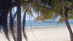 海景 海边 沙滩 椰树 蓝天 
