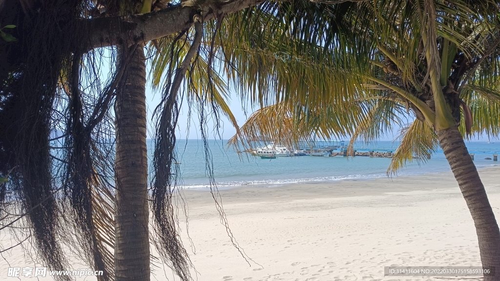 海景 海边 沙滩 椰树 蓝天 