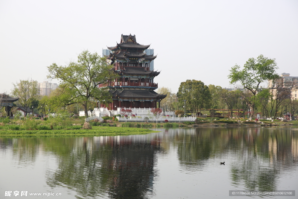 紫陽湖公園