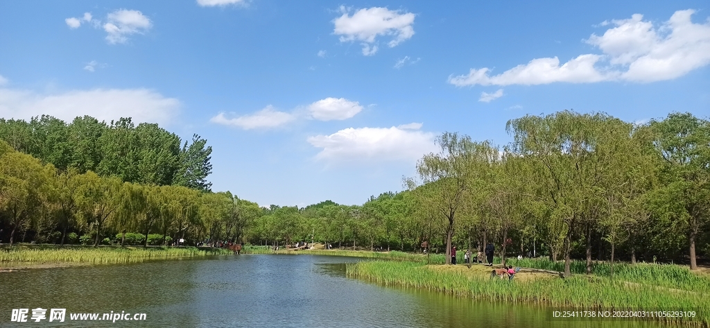 公園湖