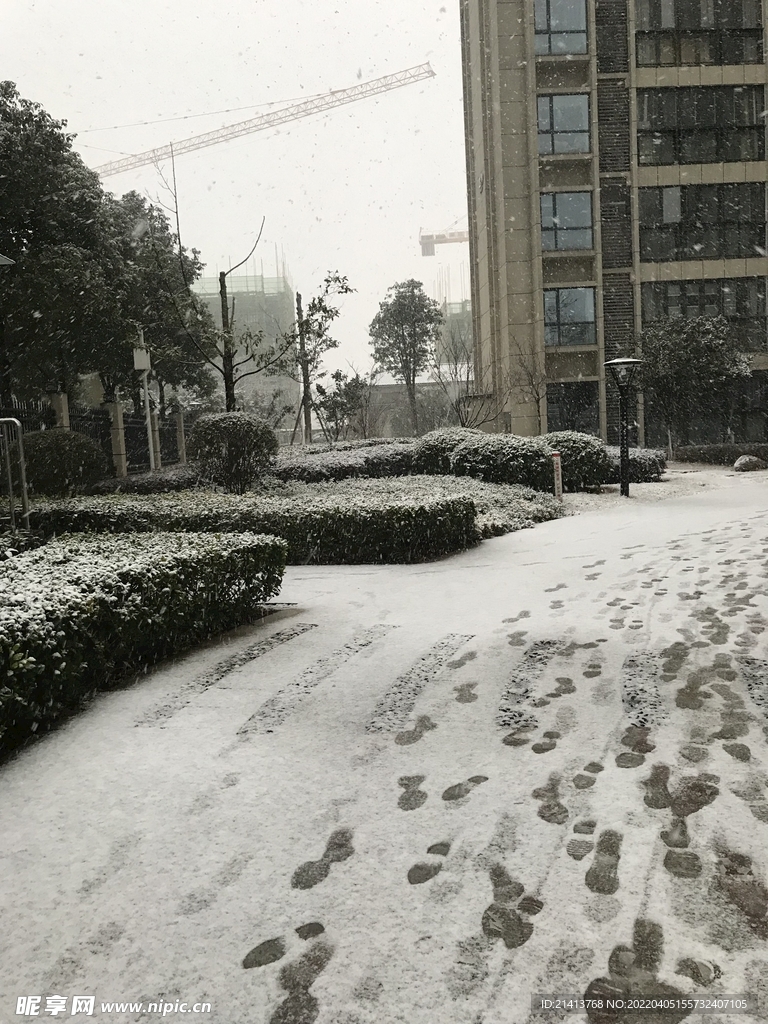冬日雪景風景