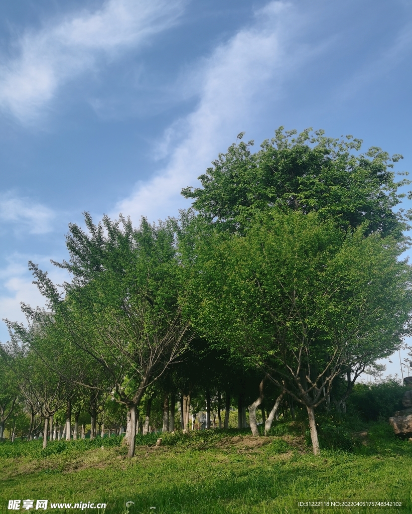 三月綠意盎然