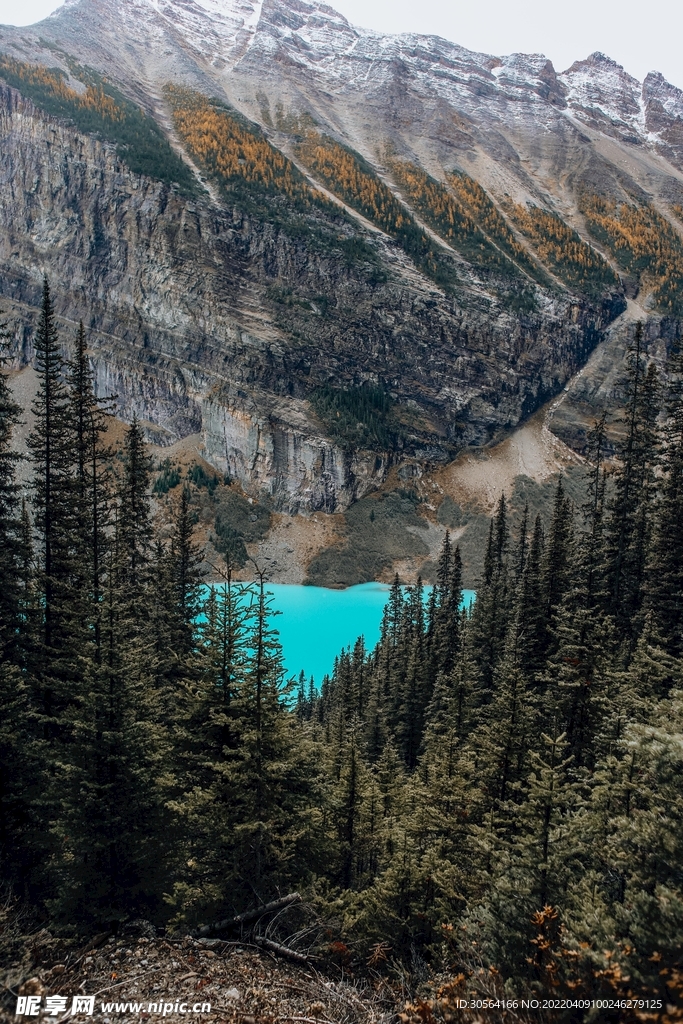 戶外森林山脈