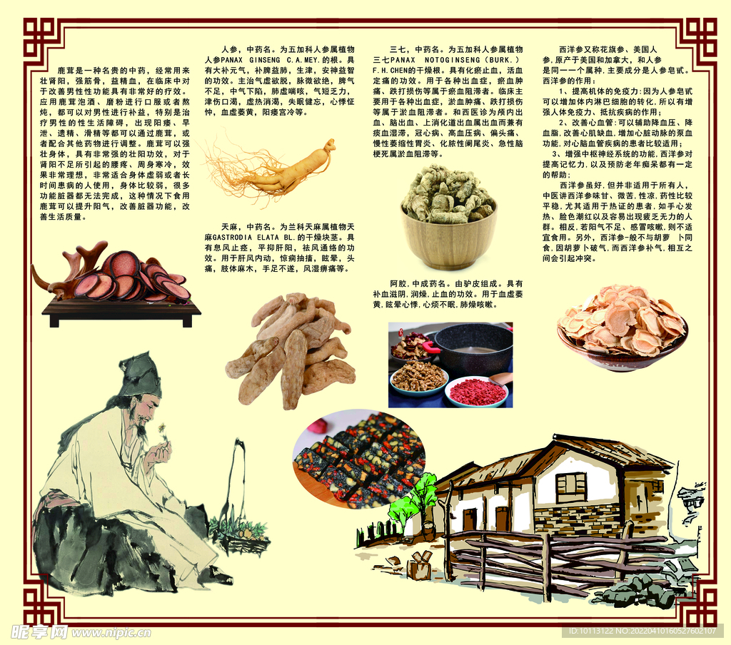 中醫(yī)中藥宣傳畫(huà)