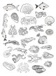 手绘卡通线描海洋生物动物