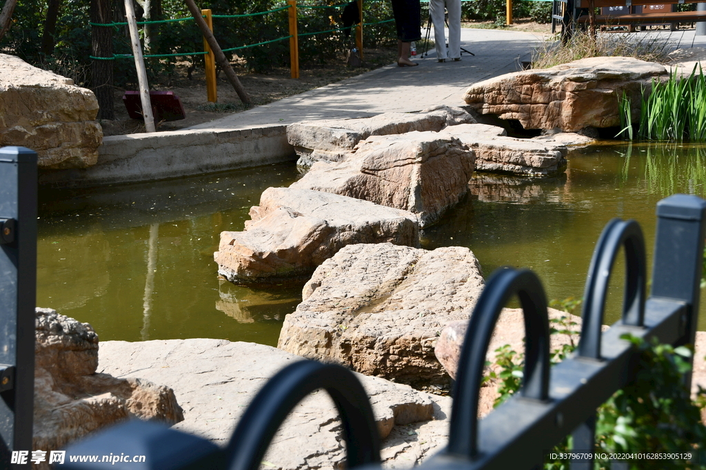 月季公園