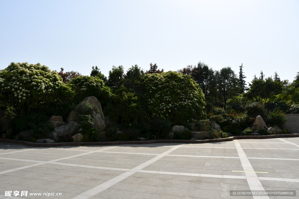 月季公園