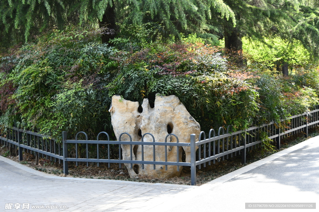 月季公園