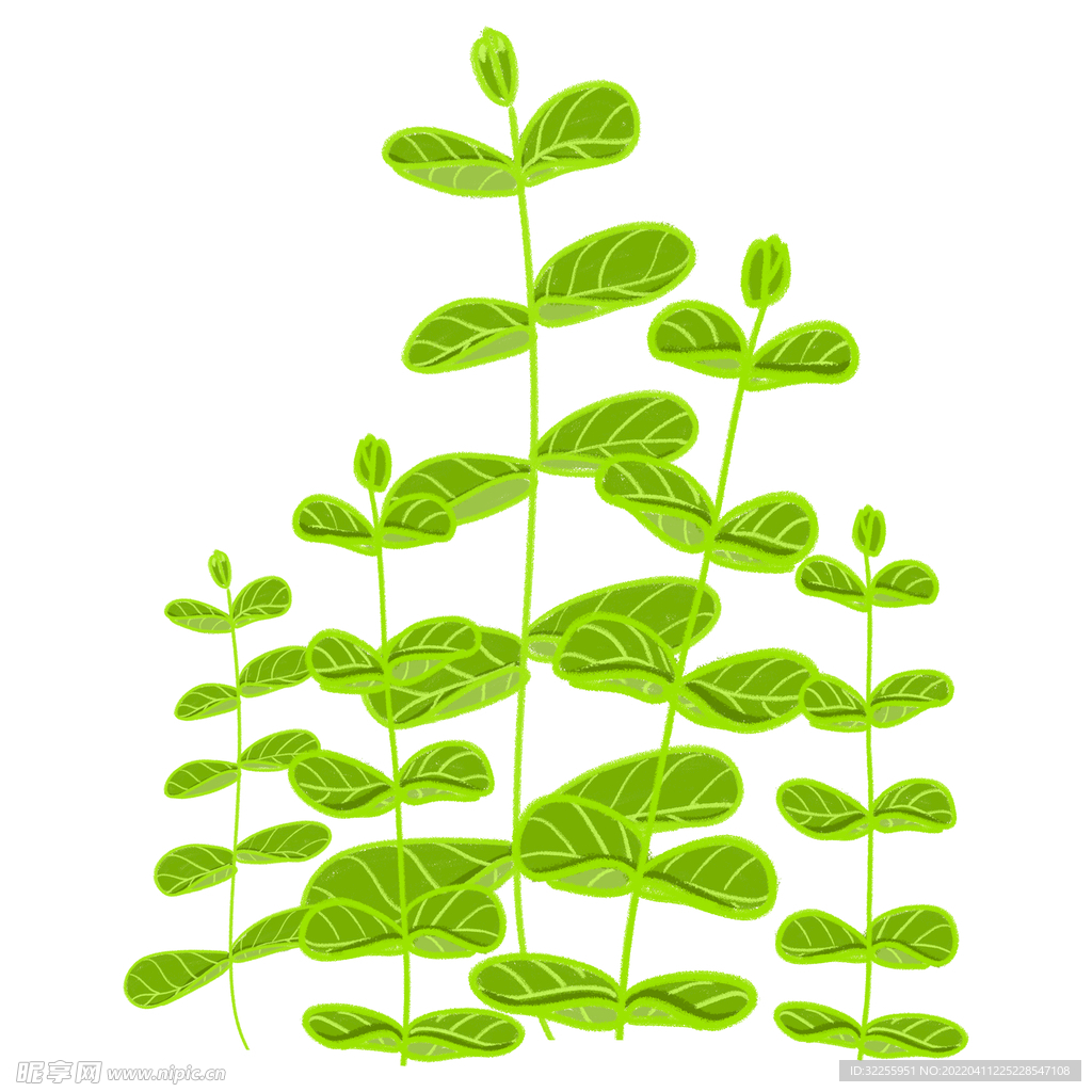 卡通植物儿童插画绿色植物素材
