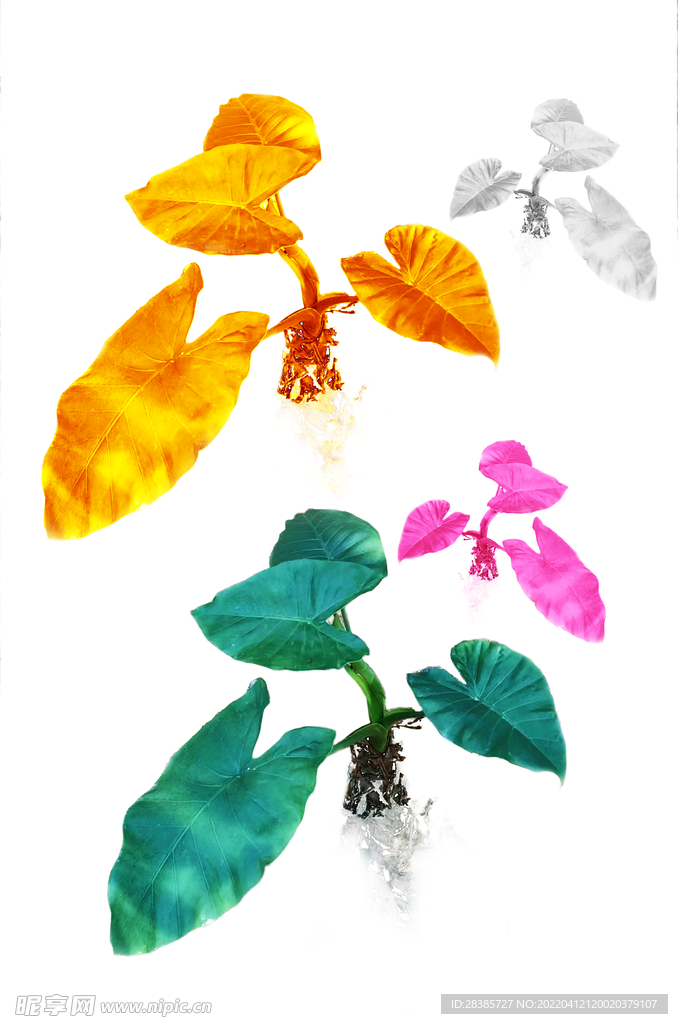 綠色植物素材