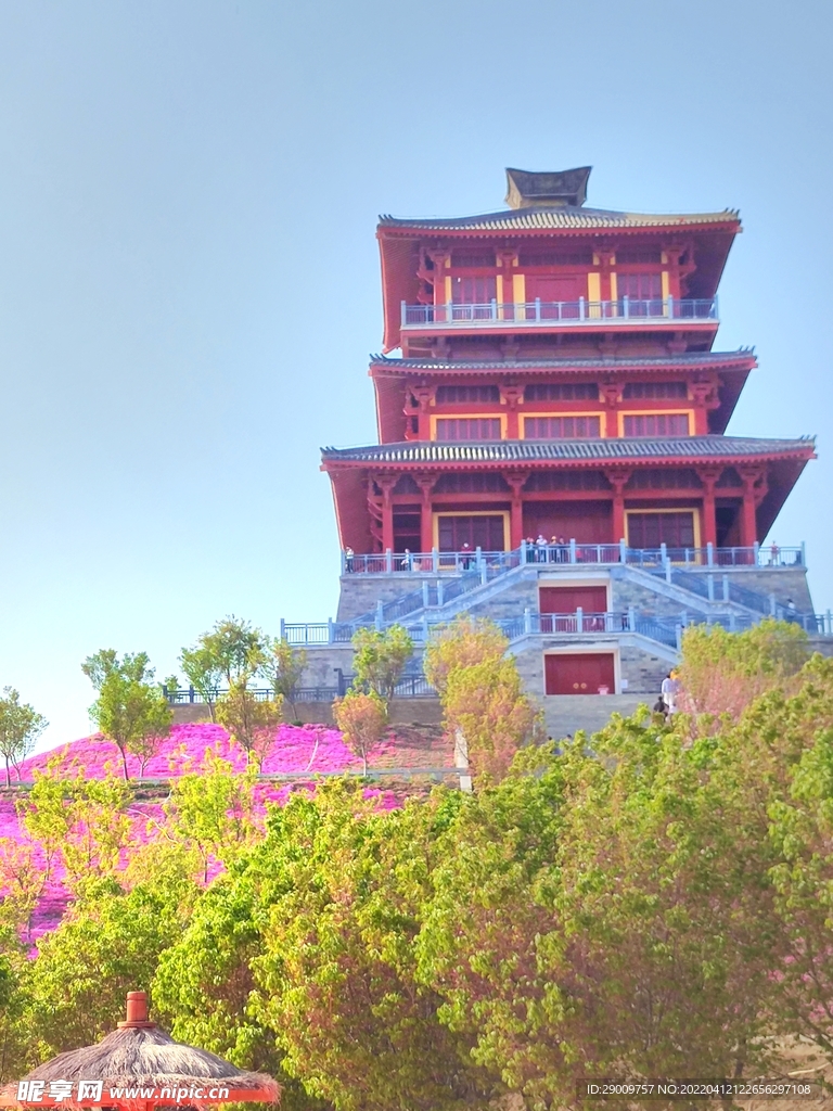 豐樂櫻花園
