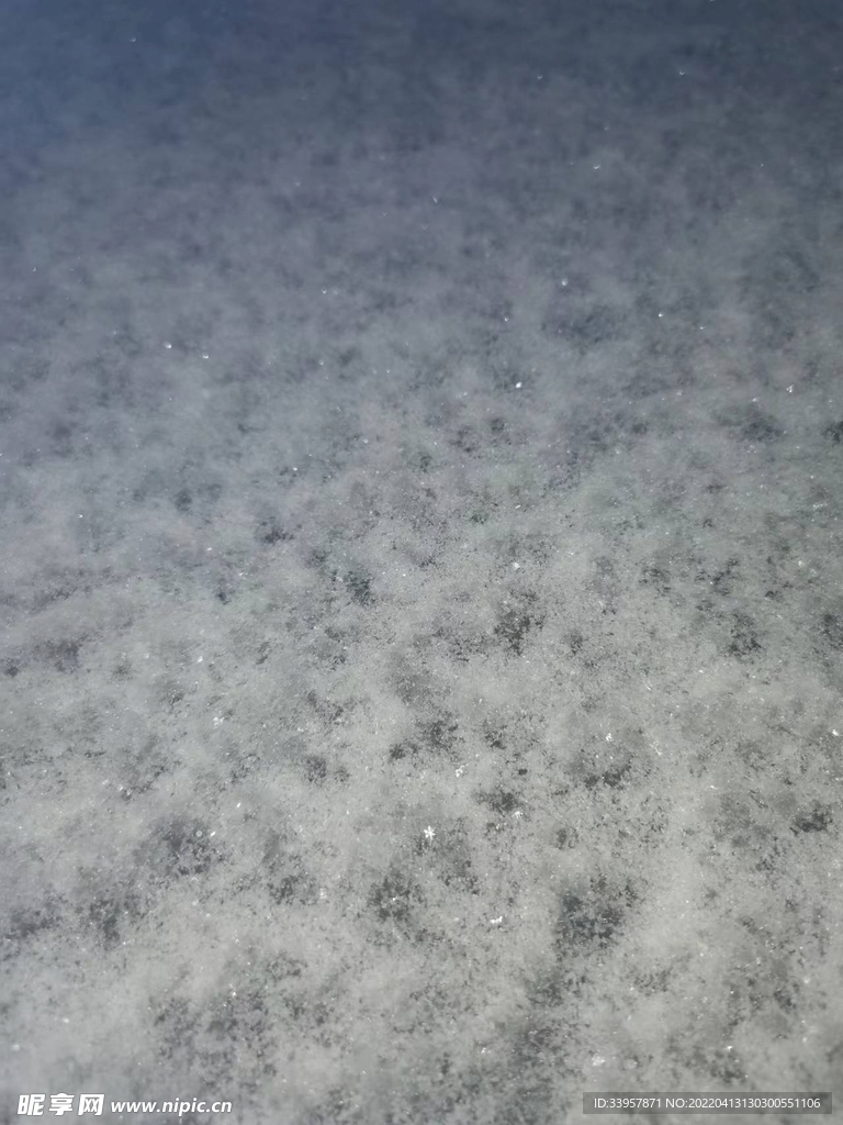 閃光燈下的一片雪