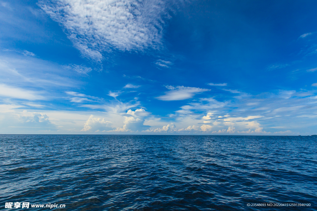 大海