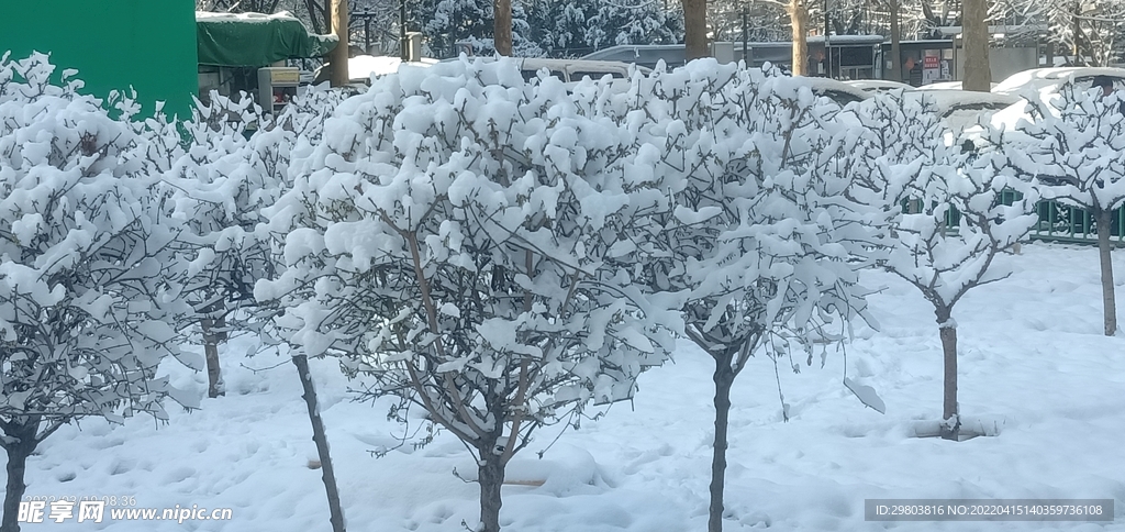 雪