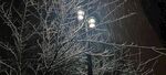 路燈下的雪景