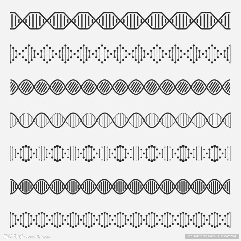 DNA分子