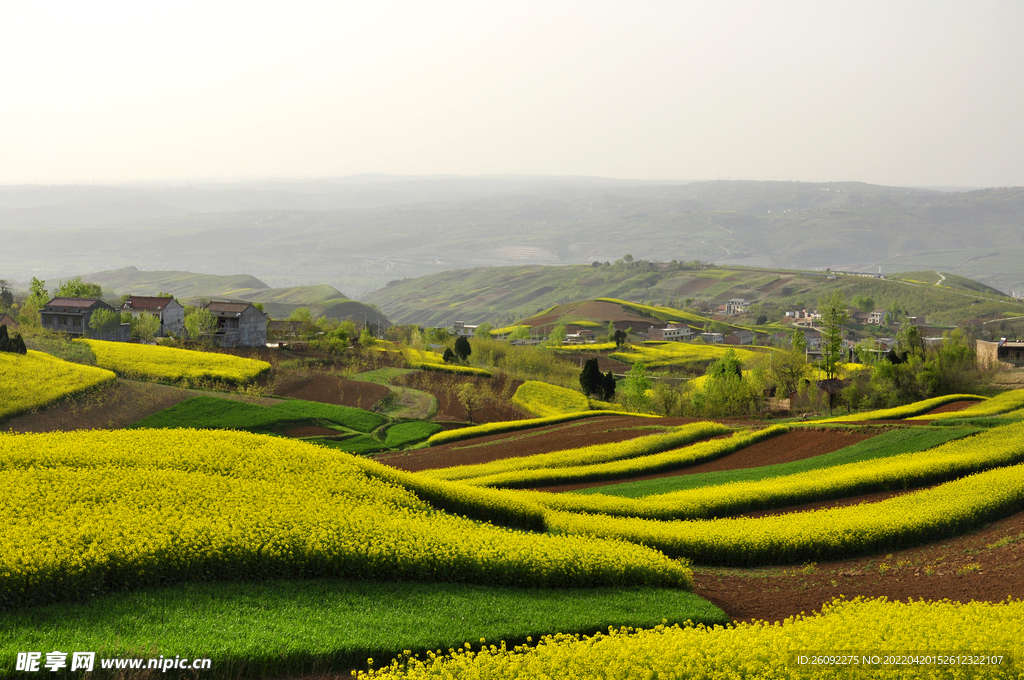 鄉(xiāng)村風(fēng)景