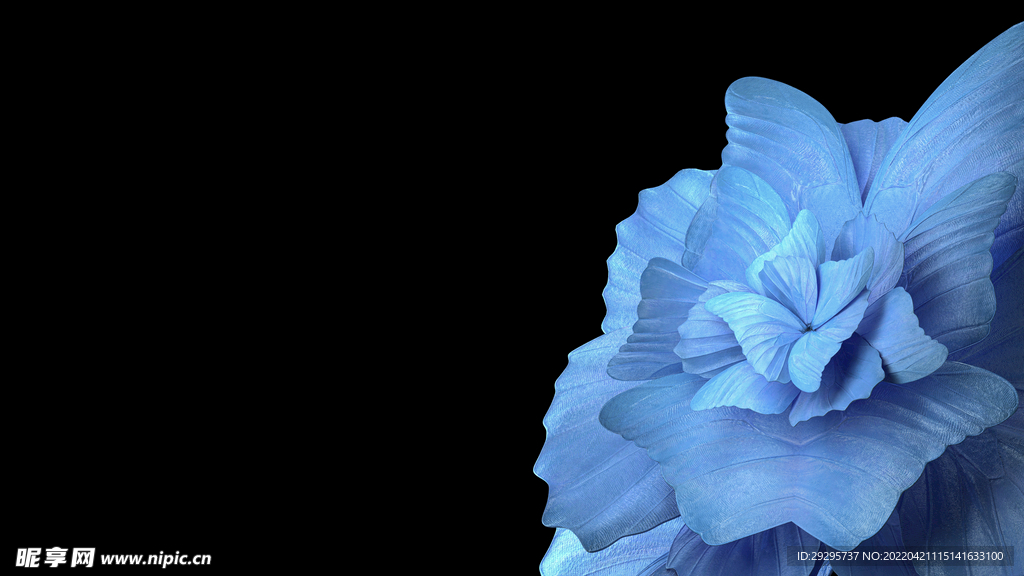 浅蓝色花瓣
