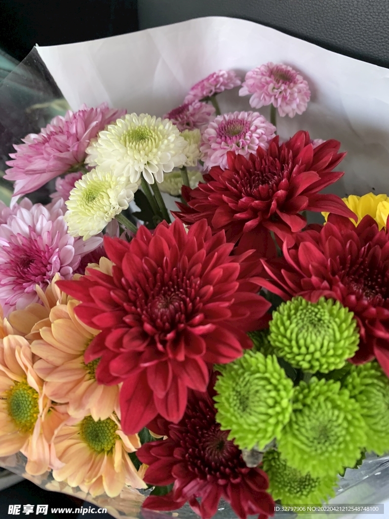 雛菊