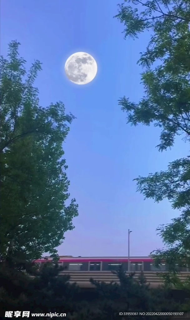 白天的月亮