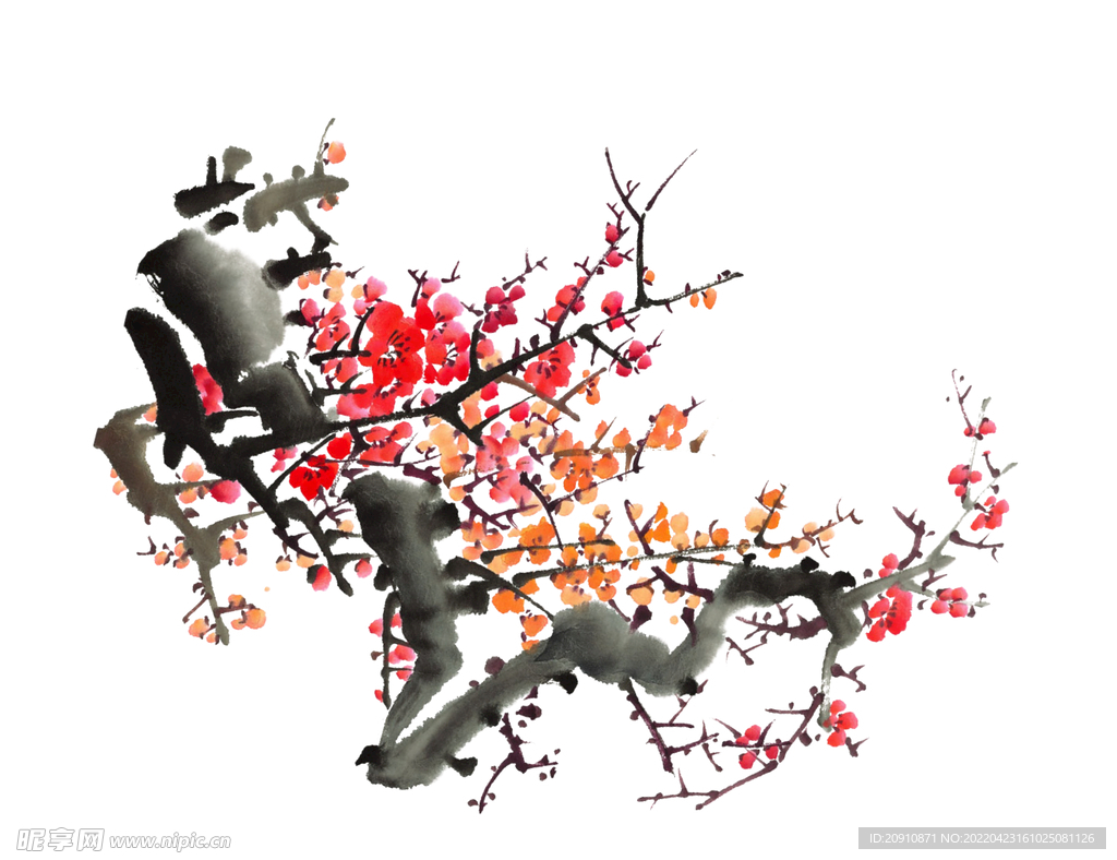 梅花