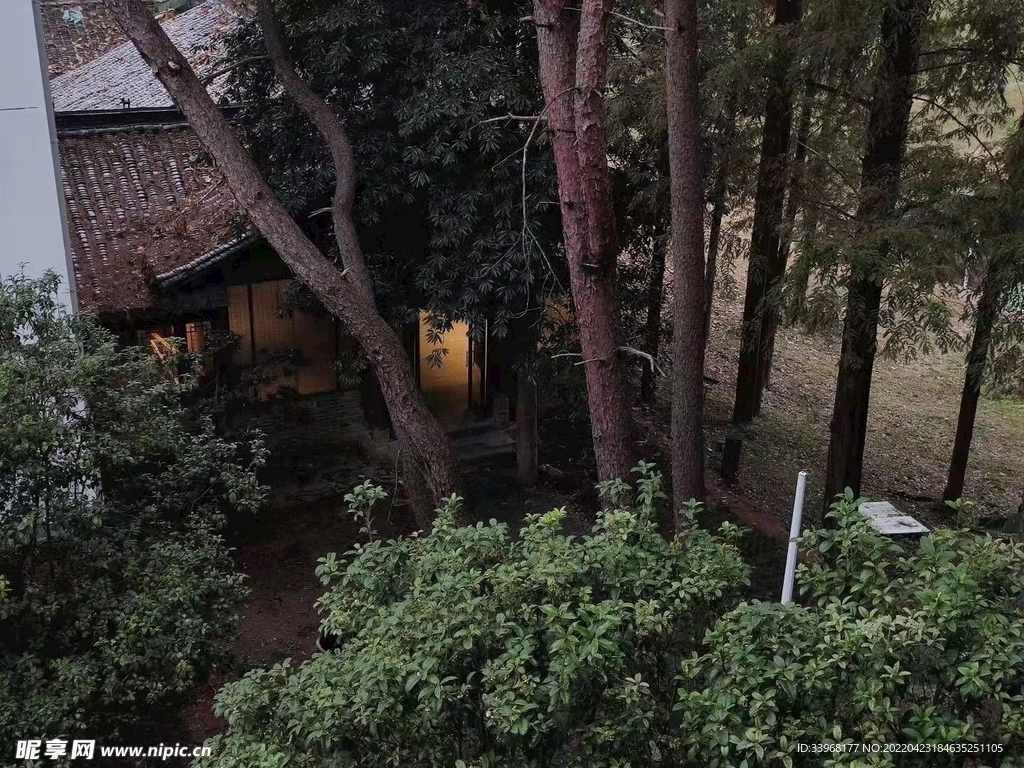 隱秘小屋
