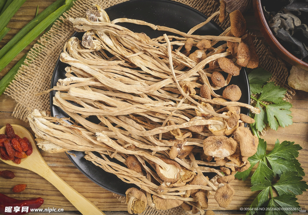 茶樹菇食材