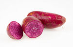 新鲜紫薯摄影素材