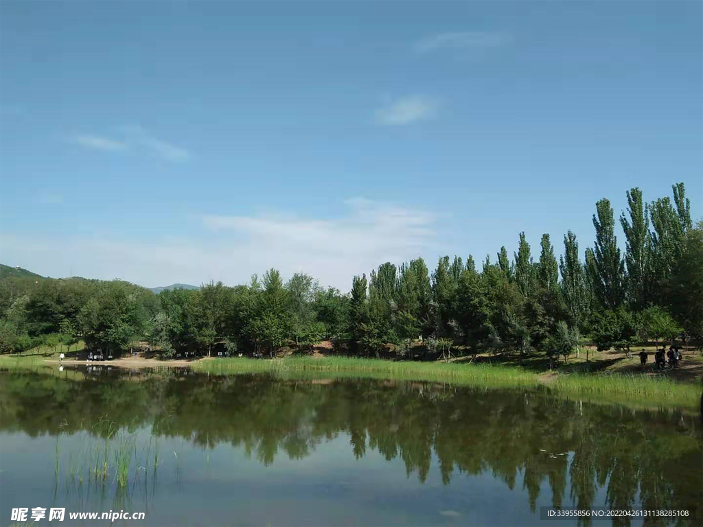 景
