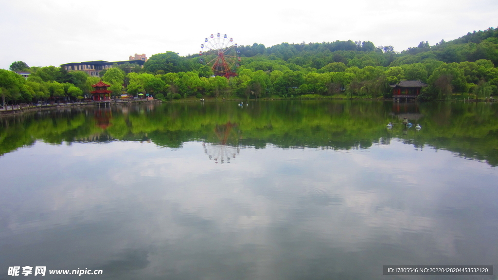 公园风景素材  湖岸美景 池塘