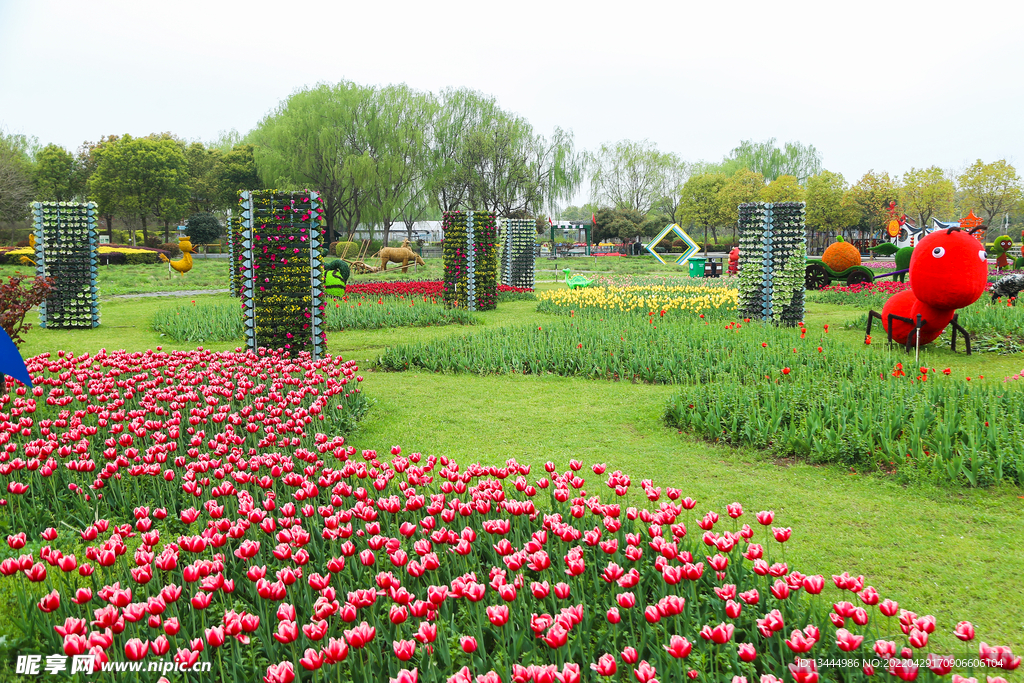 郁金香公園 
