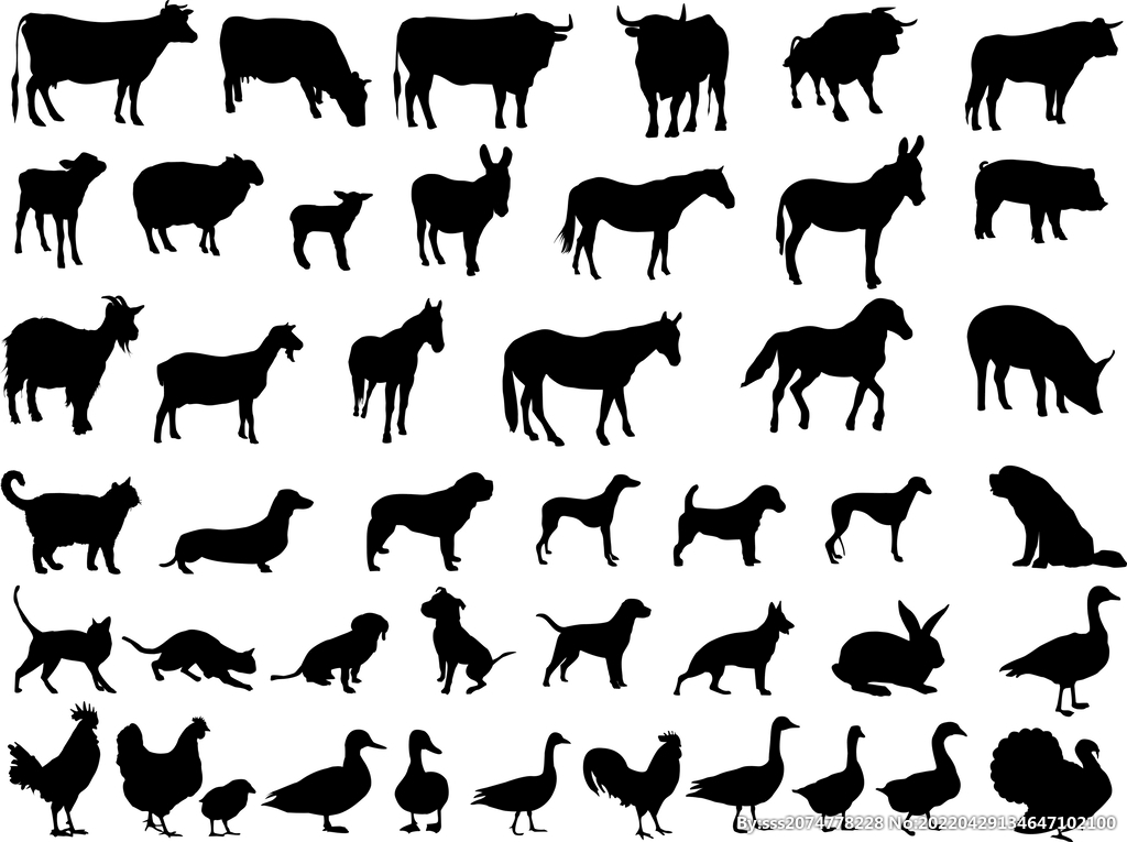 动物常用矢量图