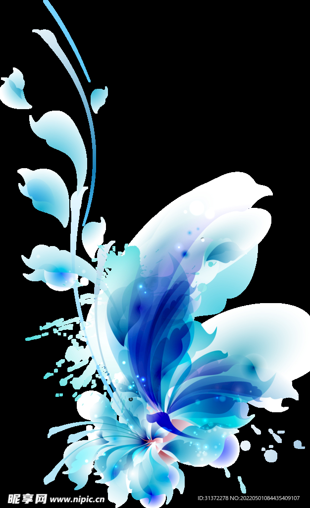 藍色花圖片