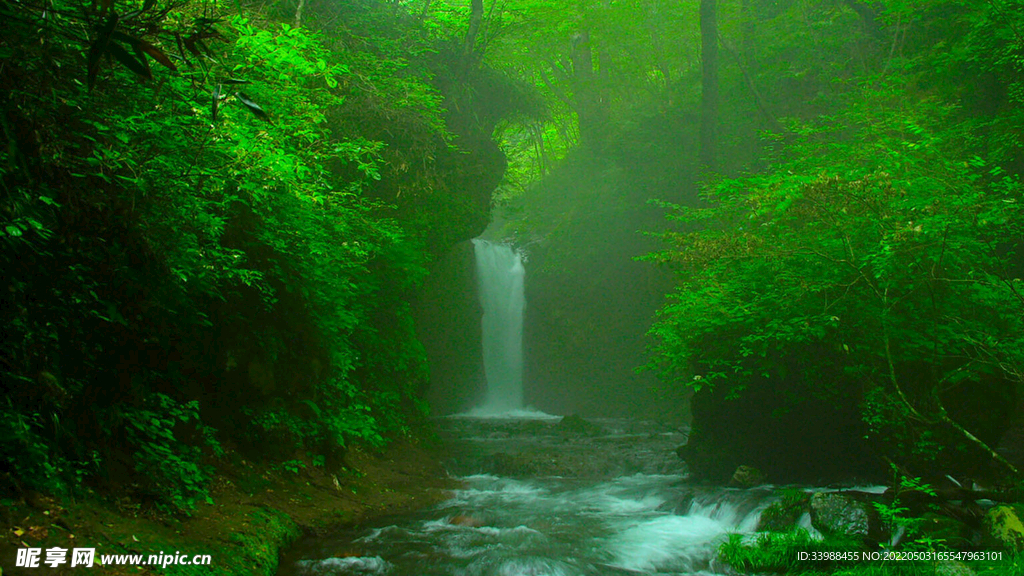 瀑布和樹林