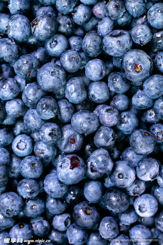 蓝莓图片 新鲜水果