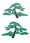松樹素材