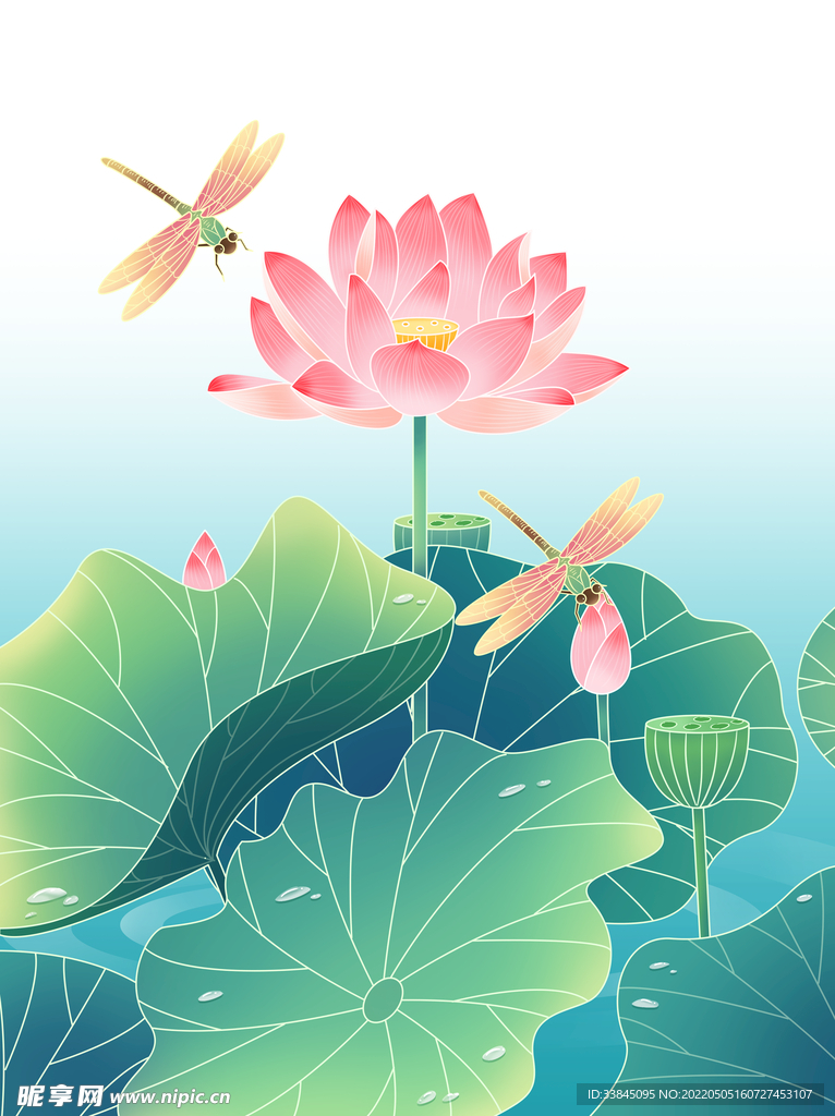 蜻蜓荷花