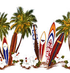 椰子树滑板