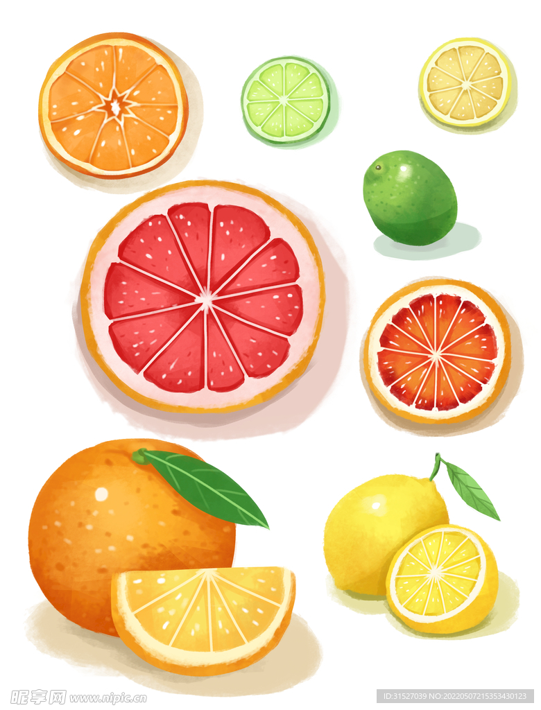 手绘水彩柠檬橙子插画