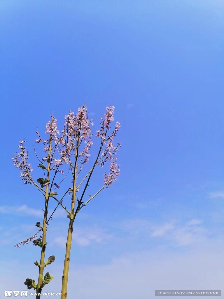 四月藍天