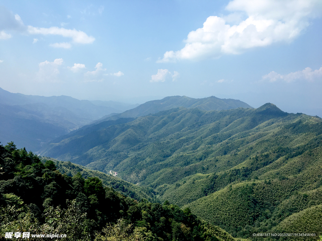青山綠水  
