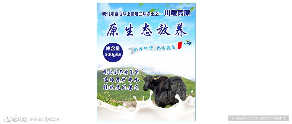 青藏高原草地牦牛