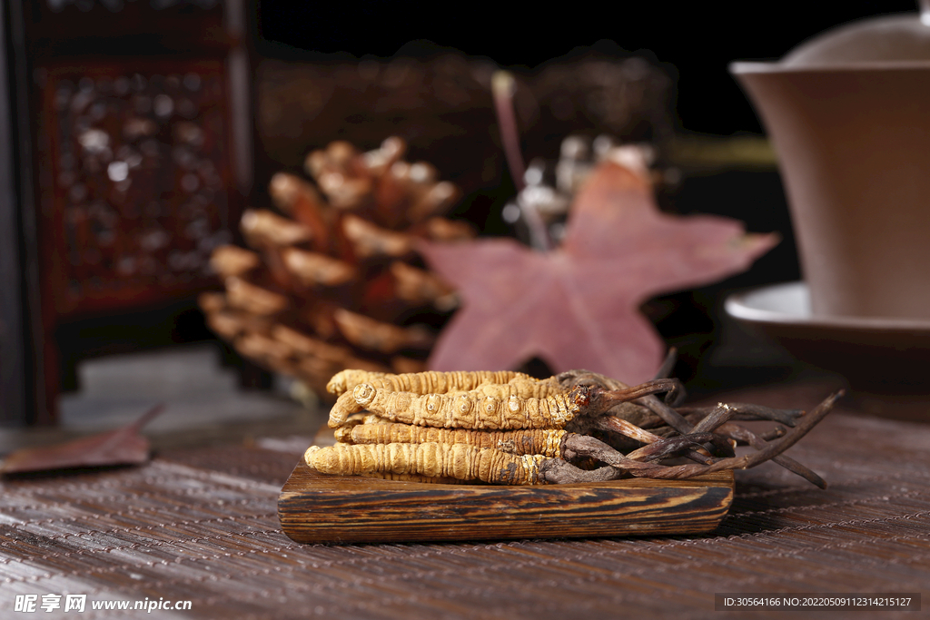 滋補(bǔ)蟲草藥材