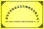 公司牌子