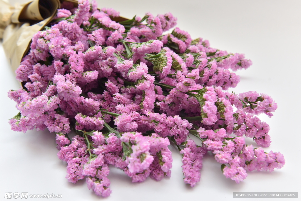 紫色薰衣草鲜花