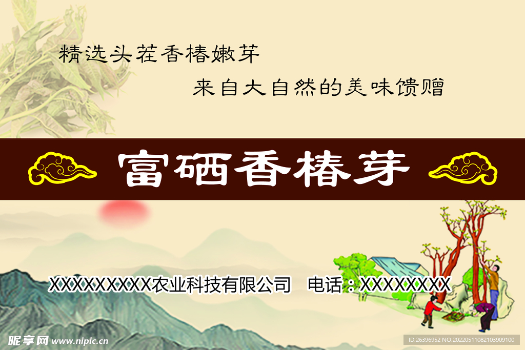 香椿芽