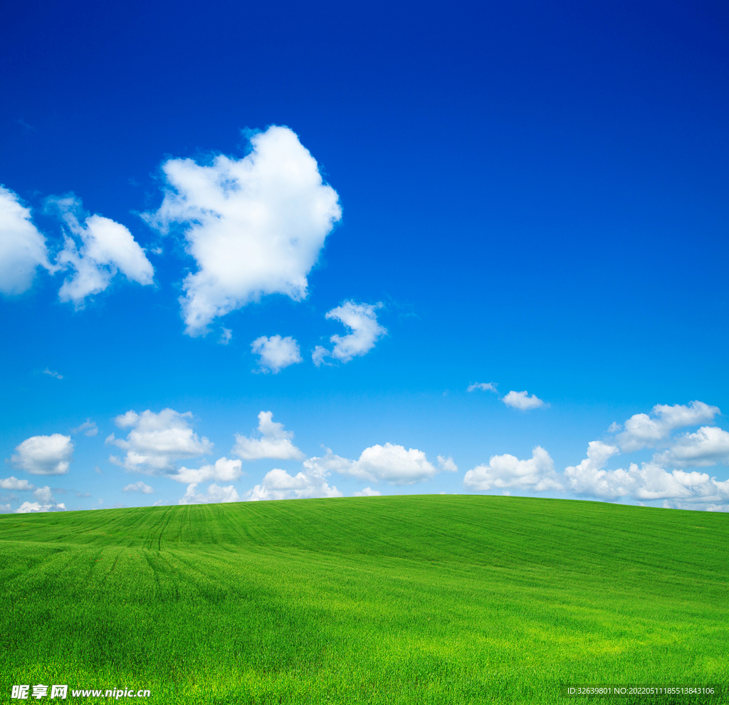 藍天綠地背景