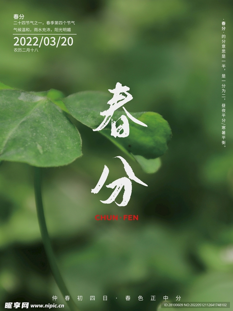 中国传统节气海报春分节气海报