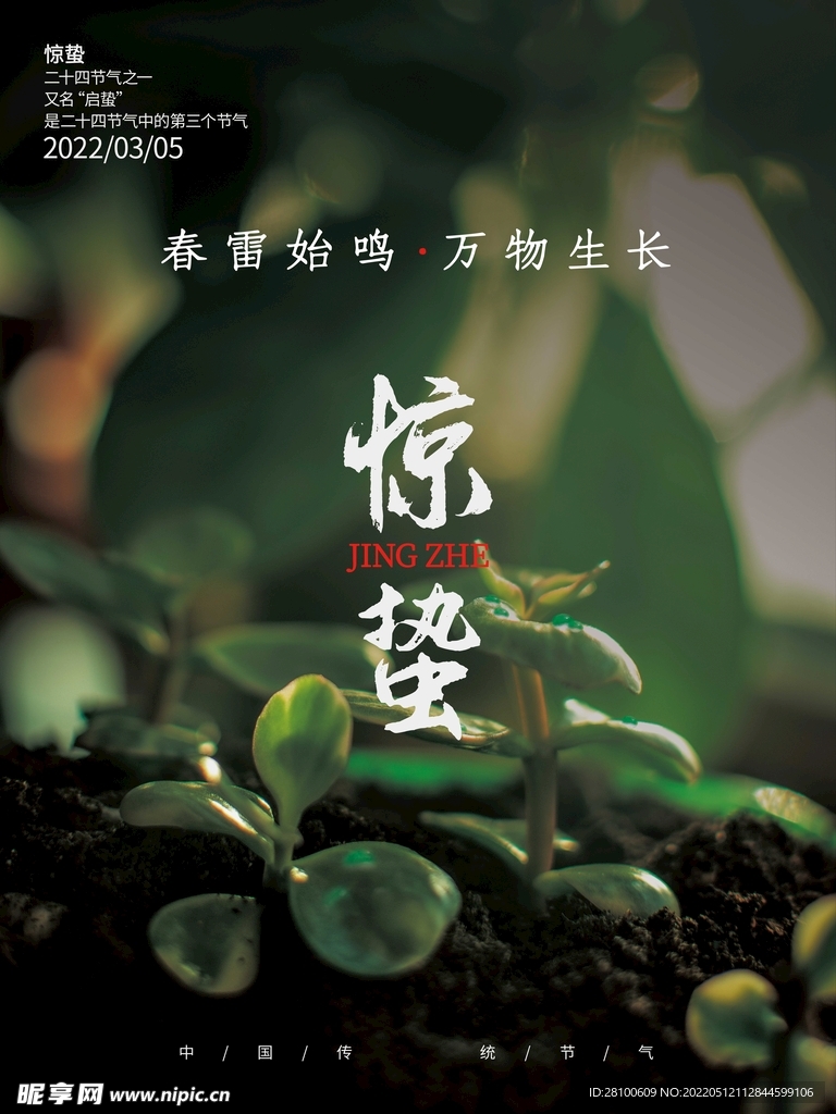 中国传统24节气惊蛰节气海报