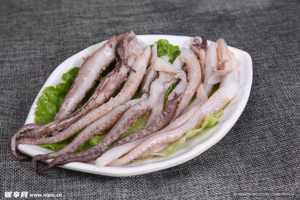 新鮮魷魚食材
